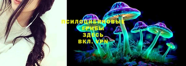 герыч Богородск