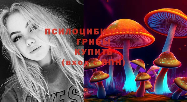 МДМА Богданович