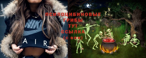 герыч Богородск