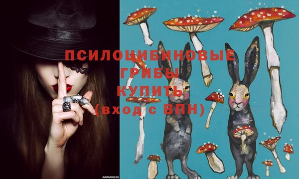 МДМА Богданович