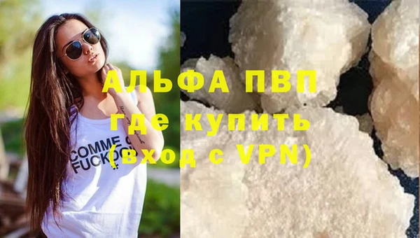 гидра Белокуриха