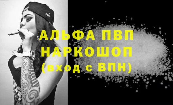 гидра Белокуриха
